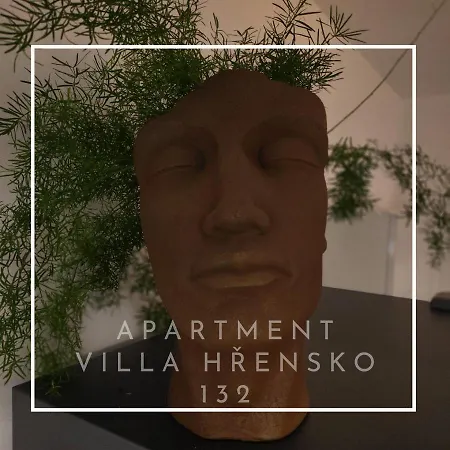 Apartment 132