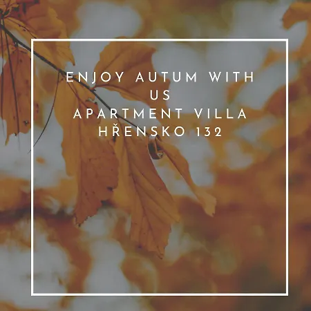 132 Apartment *